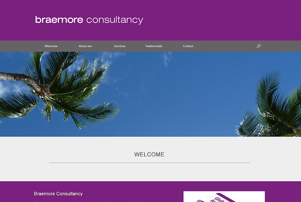 image of Braemore consultancy site developed by Big Media